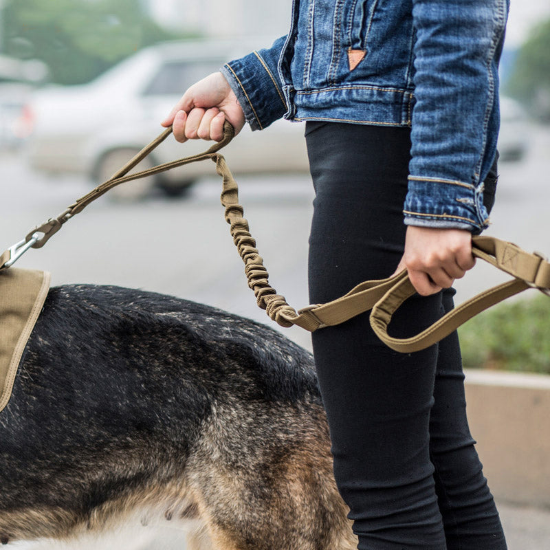 Adjustable High Elastic Traction Rope for Exercise – Portable Resistance Band for Home Workout